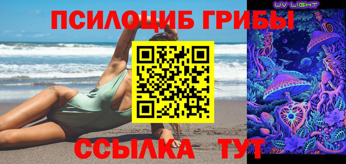 Псилоцибиновые грибы Psilocybine cubensis  Вход с VPN  Березники 
